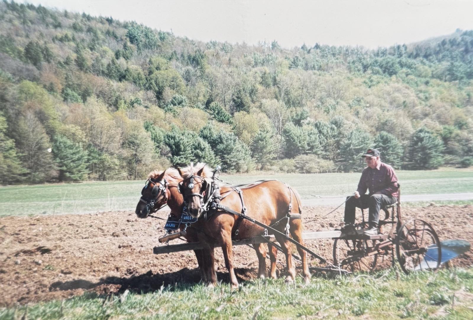 Robert Lee Alford driving a two-horse plow team, Major and Molly, across a field with wooded hills behind.